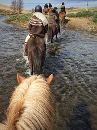 Rear view of people riding horses on river