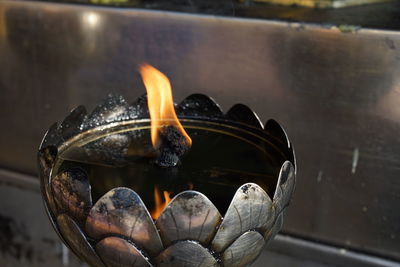 Close-up of food in water