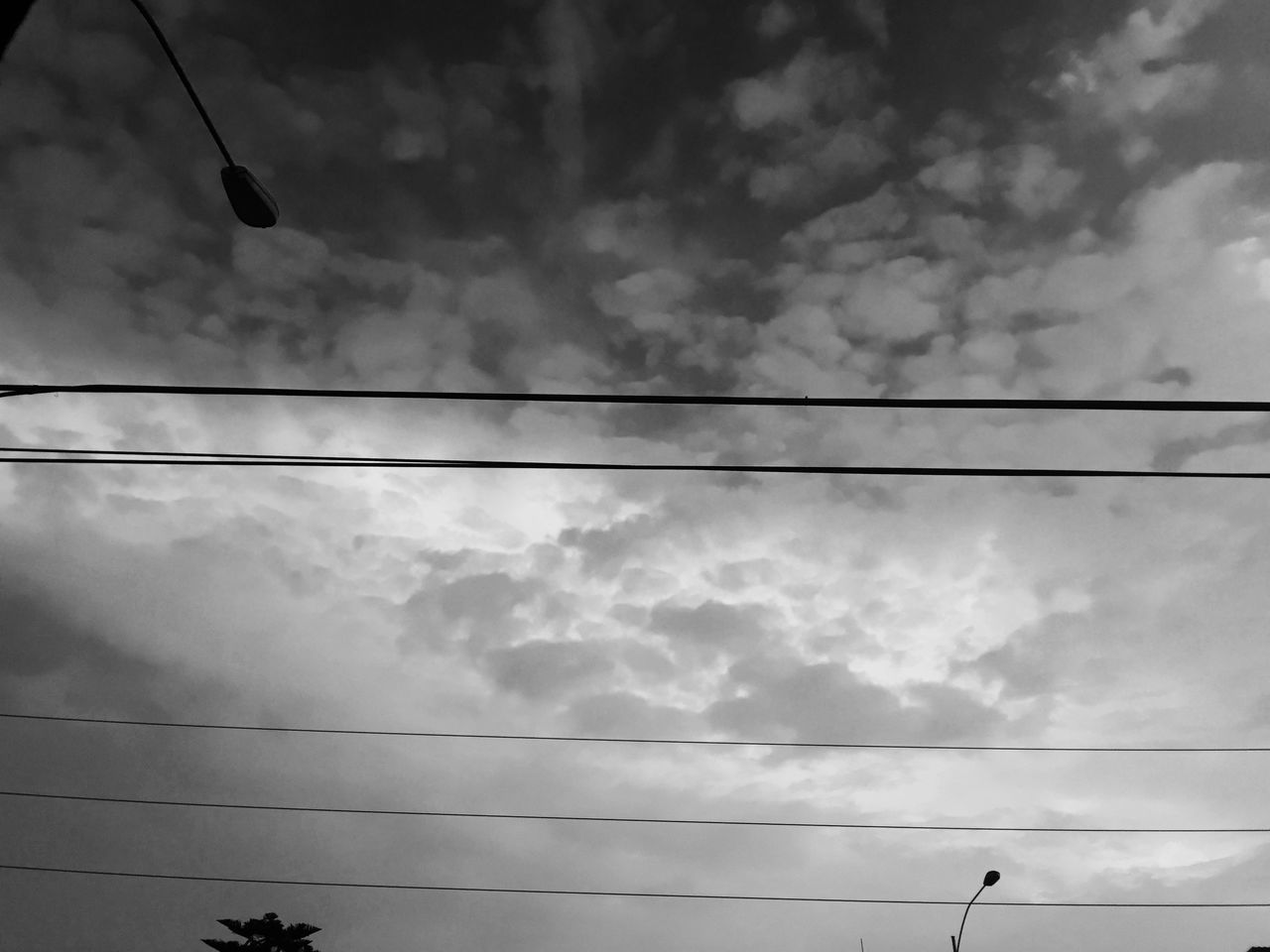 power line, low angle view, cable, sky, electricity, power supply, cloud - sky, connection, bird, electricity pylon, silhouette, cloudy, power cable, fuel and power generation, cloud, technology, animal themes, wildlife, nature, animals in the wild