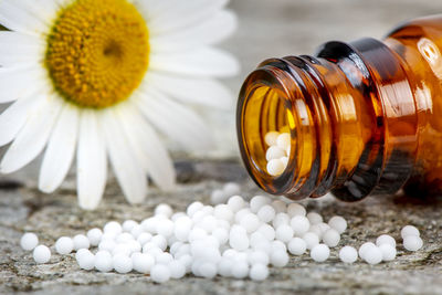 Close-up of white flower in jar on table