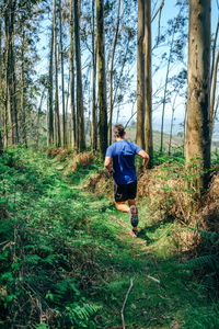 Rear view of man in forest