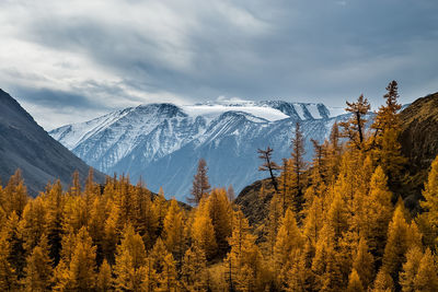 Scenic view of snowcapped mountains against sky