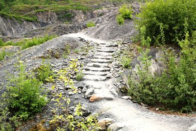 Scenic view of waterfall amidst trees
