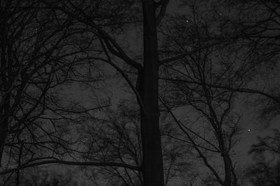 Low angle view of silhouette bare trees against sky