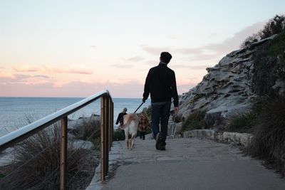 Rear view of man with dog walking on footpath leading towards sea during sunset