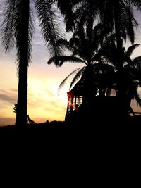 Silhouette of palm trees at sunset