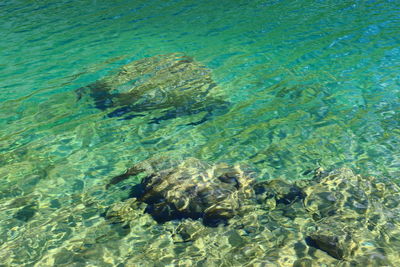 Full frame high angle view of a lake with transparent water