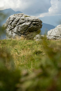 Surface level of rocks on field against sky