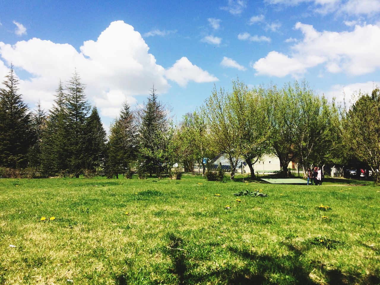 Hacettepe Üniversitesi Beytepe Kampüsü