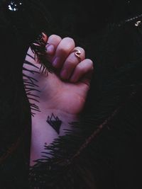 High angle view of woman hand on plant