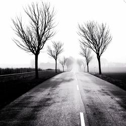 Empty road along trees