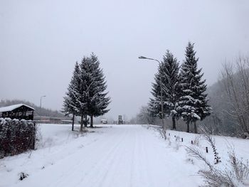 Trees on snow covered field against sky