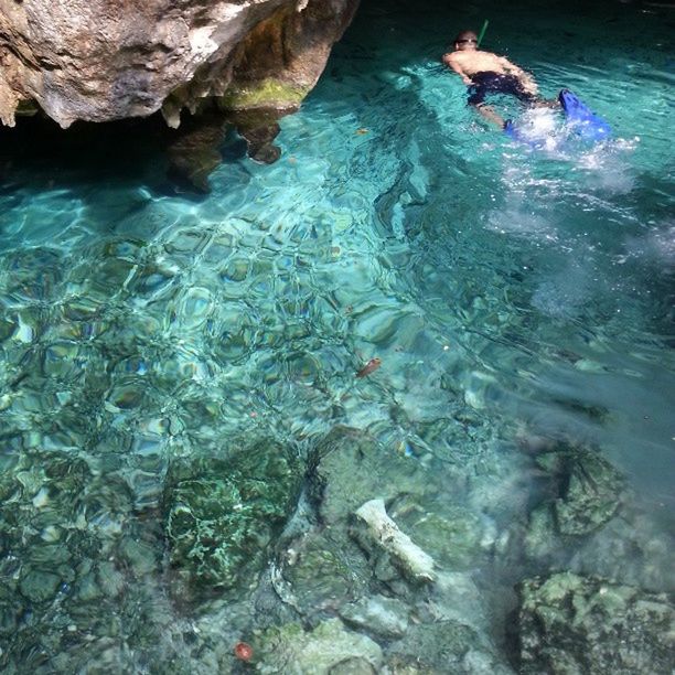 water, high angle view, swimming, rippled, waterfront, nature, reflection, rock - object, sea, animal themes, lake, beauty in nature, underwater, tranquility, animals in the wild, outdoors, day, pond, school of fish, floating on water