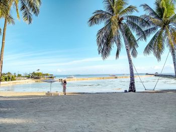 Palm trees on beach against sky