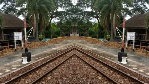 Railroad tracks amidst trees and buildings in city