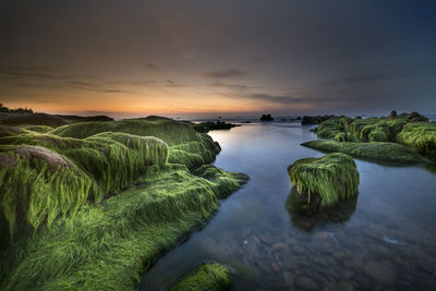 Scenic view of sea against sky during sunset