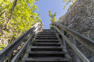 Low angle view of stairs along trees