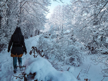 Rear view of person walking on snow covered land