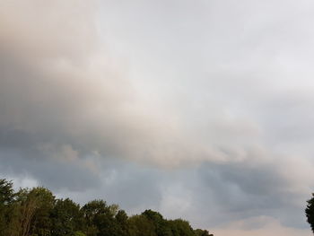 Low angle view of trees against sky