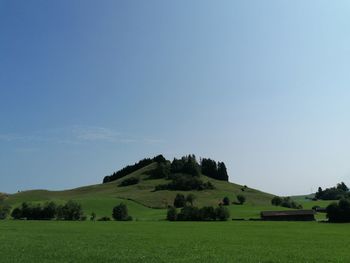 Scenic view of field against clear sky