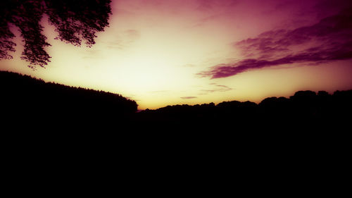 Silhouette trees on landscape against sky at sunset