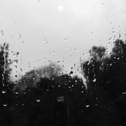 Close-up of water drops on window against sky