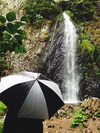 Scenic view of waterfall in forest