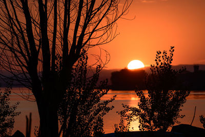 Silhouette tree by lake against orange sky