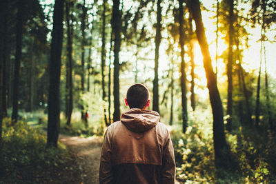 Rear view of man standing in forest