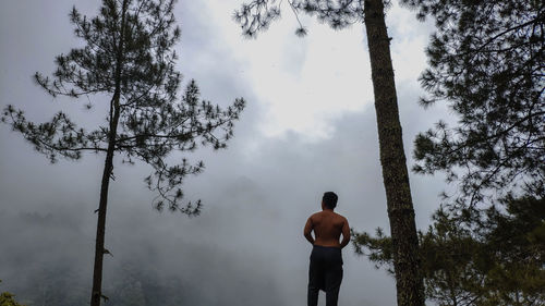 Rear view of shirtless man standing by tree against sky