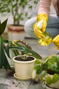 Cropped hand of man holding potted plant