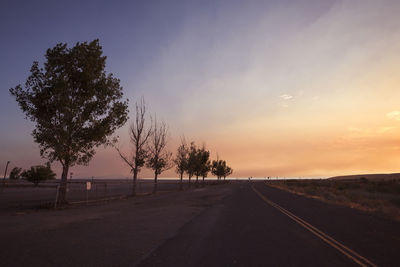 Trees growing by street against sky during sunset