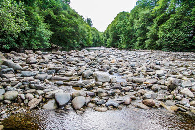 Surface level of stones