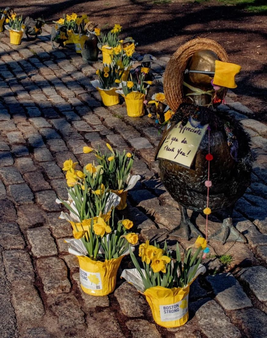 HIGH ANGLE VIEW OF POTTED PLANTS AND YELLOW FLOWER ON SIDEWALK