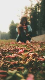 People in park during autumn