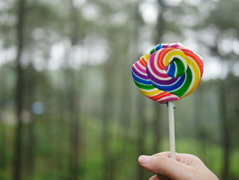Close-up of hand holding multi colored candies