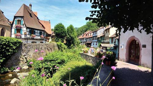 Flowering plants and buildings in town against sky