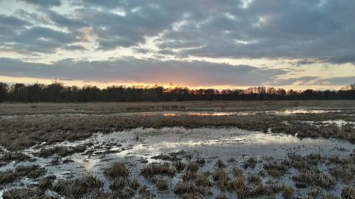 Scenic view of agricultural field against sky during sunset