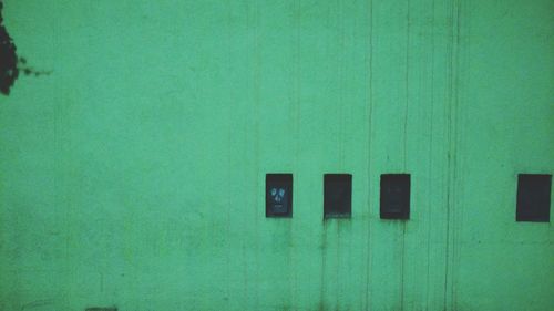 Close up of green leaf