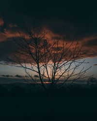 Silhouette bare tree against sky during sunset