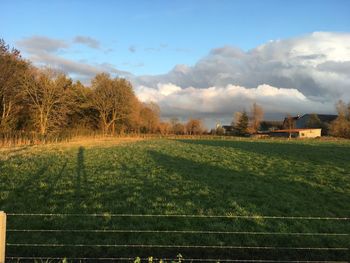 Scenic view of field against sky