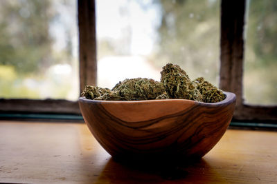 Close-up of potted plant on window sill