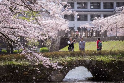 Group of people on cherry blossom by water