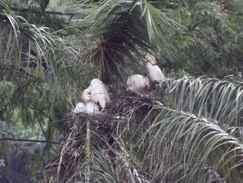 Bird perching on branch