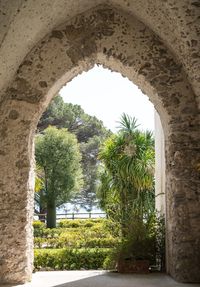 Trees and plants seen through arch window