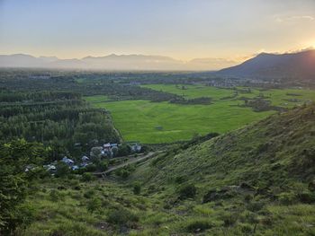 environment