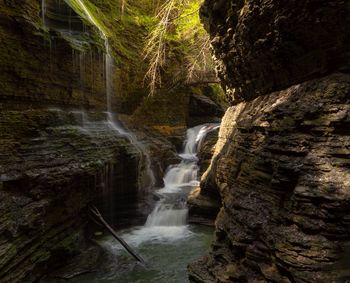 Scenic view of waterfall in forest