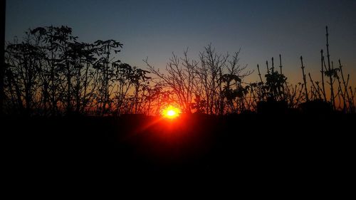 Silhouette trees against sky during sunset