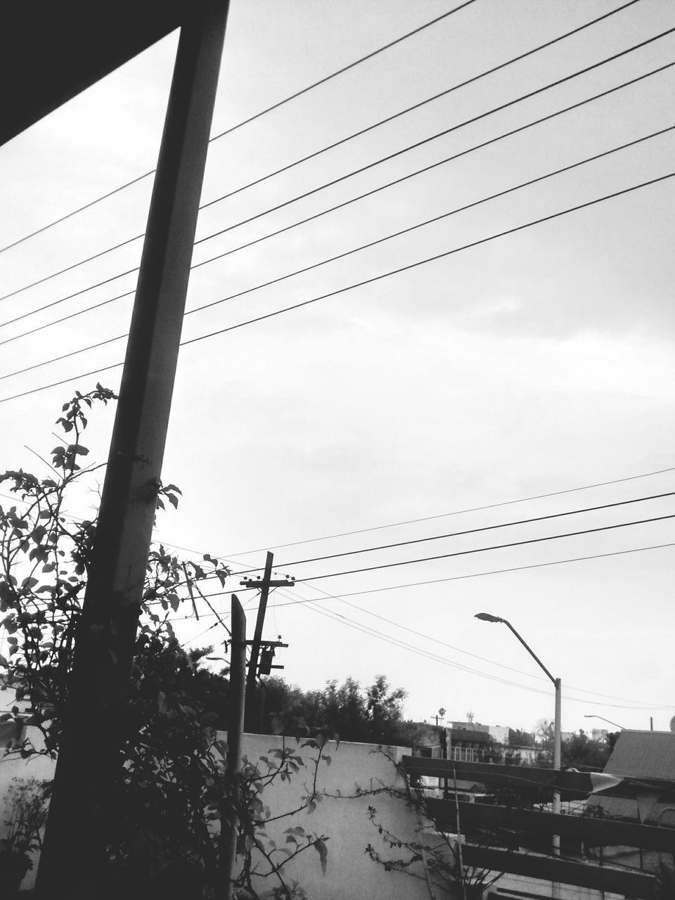 power line, cable, electricity pylon, connection, sky, low angle view, electricity, power supply, fuel and power generation, bird, technology, built structure, animal themes, power cable, architecture, outdoors, day, wildlife, no people, animals in the wild