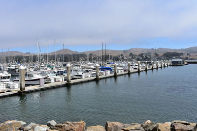 Sailboats moored in harbor against buildings in city